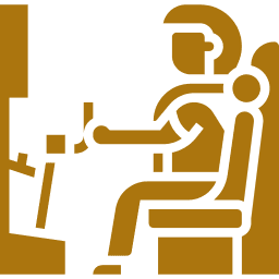 Flight Simulator Session