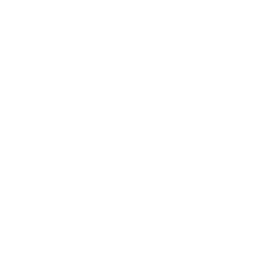 100 HOURS PILOT IN COMMAND (PIC)